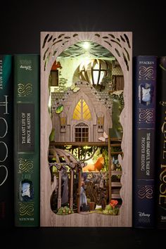 an image of a book shelf with books on it and a house in the middle