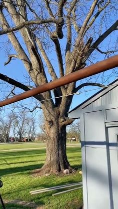 a tree that is standing in the grass near a building with a metal pipe on it's side