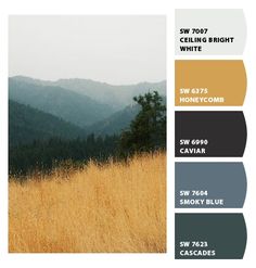 the color scheme for an interior paint swatch with mountains and trees in the background