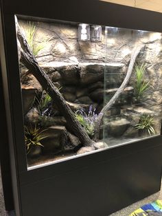 an aquarium with rocks, plants and water in the middle is shown on display for people to see