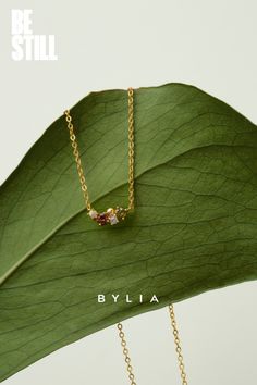 a gold necklace with two different colored stones hanging from it's side on a green leaf