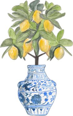 a blue and white vase with lemons in it