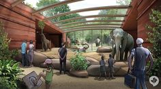 an artist's rendering of the inside of a zoo with elephants and people looking at them