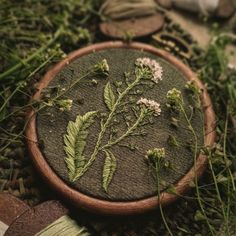 a close up of a plant in a wooden bowl