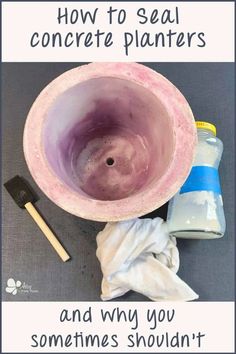 a purple bowl with the words how to seal concrete planters and why you sometimes shouldn't