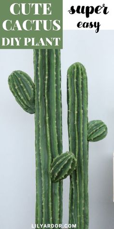 a large green cactus with the words cute cactus diy plant on it's side