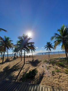 the sun shines brightly through palm trees on a beach