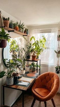 a room with some plants on shelves and a chair in front of the window,