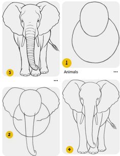 how to draw an elephant step by step