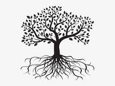 a black and white tree with roots clipart, hd png downloads for free