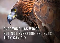 an eagle with the caption everyone has wings but not everyone believe they can fly