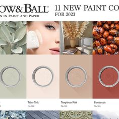 the new paint color palette for snow & ball