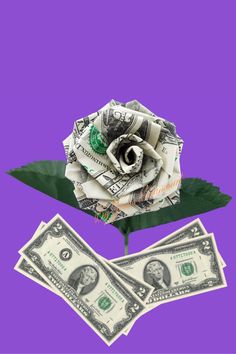 dollar bills and a rose on a purple background