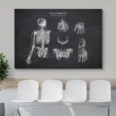 a chalkboard drawing of human skeleton and other skeletal bones on a wall in a living room