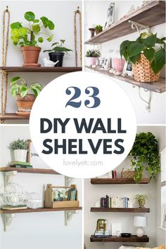 some shelves with plants and other items on them, including bookshelves that are hanging from