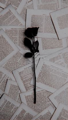 a single rose is sitting on top of newspaper pages that have been folded in half