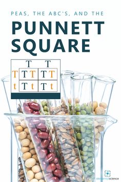 the cover of peas, the abc's and the punnet square by tftt