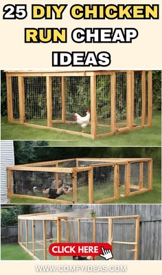 the chicken run is an easy way to keep chickens from pecking in their coop