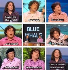 the many faces of blue whale