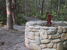 a red fire hydrant sitting on top of a stone wall in the woods next to trees