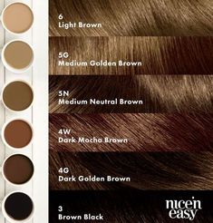 7n Hair Color, Rose Brunette, Fall Haircolor, Easy Hair Color, Diy Hair Color, Hair Color Formulas, Hair Color Chart, Hair Color Light Brown, Brunette Color