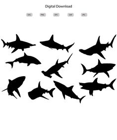 the silhouettes of sharks are shown in black and white