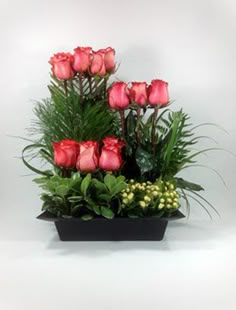 pink roses and greenery in a black planter on a white background with space for text