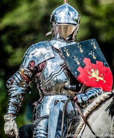 a man dressed in armor riding on a horse