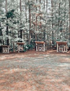 three wooden benches sitting in the middle of a forest