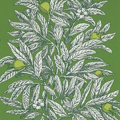 Medlar Wallpaper in Garden Green and Lime from the Mansfield Park Collection by Osborne & Little Osborne And Little Wallpaper, Mansfield Park, Powder Room Makeover, Elegant Living Room Design, Drops Patterns, Luxury Wallpaper, Mural Design, English Country House, Elegant Living Room