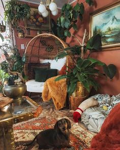 a living room filled with lots of plants and furniture