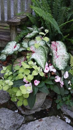 a potted plant with pink and white flowers in it next to a wooden bench