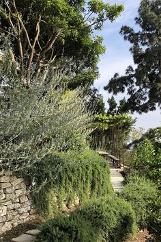 a stone wall next to trees and bushes