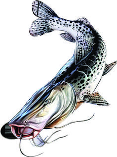 a drawing of a fish with spots on it's body and tail, jumping in the air