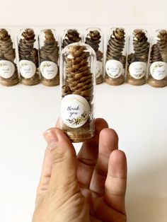 a hand holding a jar filled with pine cones in front of a row of small jars