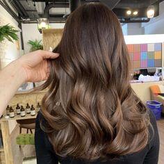 Ash Caramel Brown Balayage, Brown Hair Soft Balayage, Chestnut Bayalage Brunette, Brunette Airtouch, Rich Ash Brown Hair, Melting Hazelnut Hair, Bruslight Hair, Dark Caramel Brown Hair, Brunnet Hair Balayage