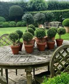 several potted plants sitting on top of a table in the middle of a garden