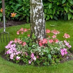 a flower bed in the middle of a yard with a tree and flowers around it