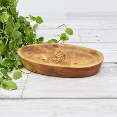 a wooden bowl sitting on top of a white floor next to green plants and ivy