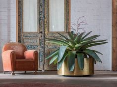 a plant in a pot next to a chair on the floor near a door with glass panels