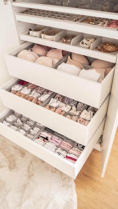 an organized closet with shoes and slippers in the bottom drawer, on top of a white rug