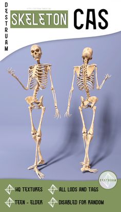 two skeleton models standing next to each other in front of a sign that says skeleton cas