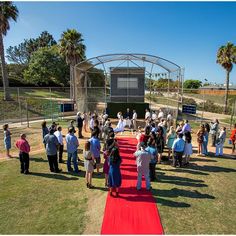 a group of people standing on top of a red carpet covered field next to palm trees