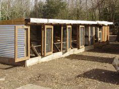 several chicken coops are lined up in the woods