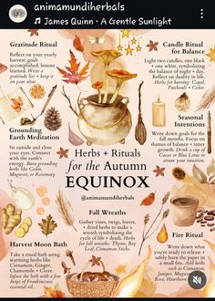 Samhain Ritual, Fall Essential Oils, Potions Recipes, Home Vibes, Charmed Book Of Shadows, Source Energy, Wiccan Magic, Autumnal Equinox