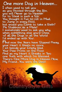 a dog is silhouetted against an orange sky with the words waiting at the door