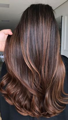 Brunette Hair Color Chestnut, Medium Brown Hair With Chestnut Highlights, Chestnut Color Hair With Highlights, Copper Bayalage On Black Hair, Hair Color Ideas For Brunettes With Layers, Mocha Carmel Hair, Babylights Brunette Caramel, Cooper Balayage Dark Brown, Chest Nut Brown Balayage