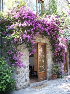 purple flowers are growing on the side of a stone building with an open door and glass windows