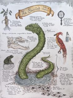 a drawing of a green snake with words on it and pictures of other animals around it