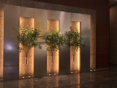 three tall vases with trees in them are lit up by lights on the wall